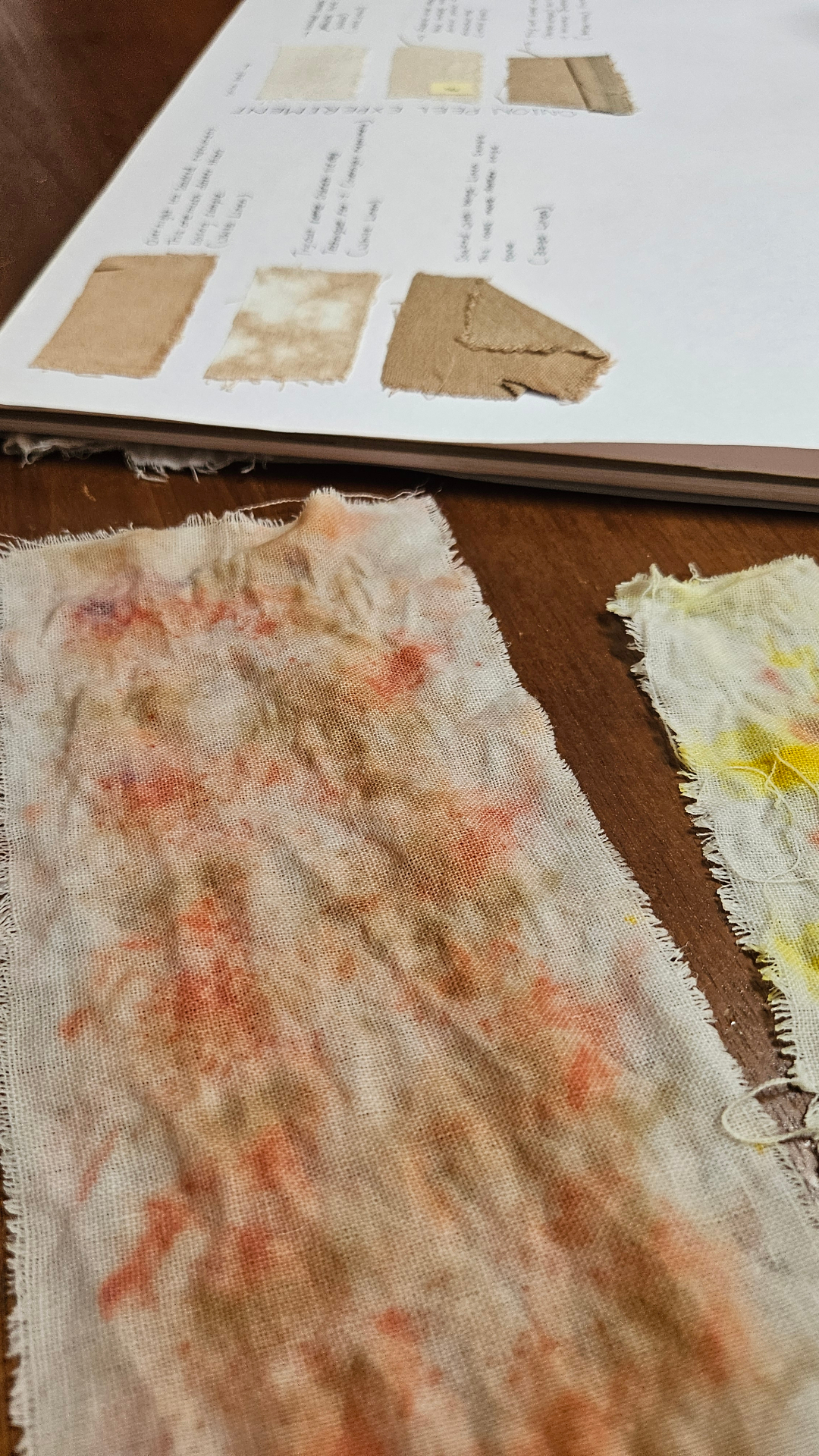 Various natural dye color samples showing seasonal variations