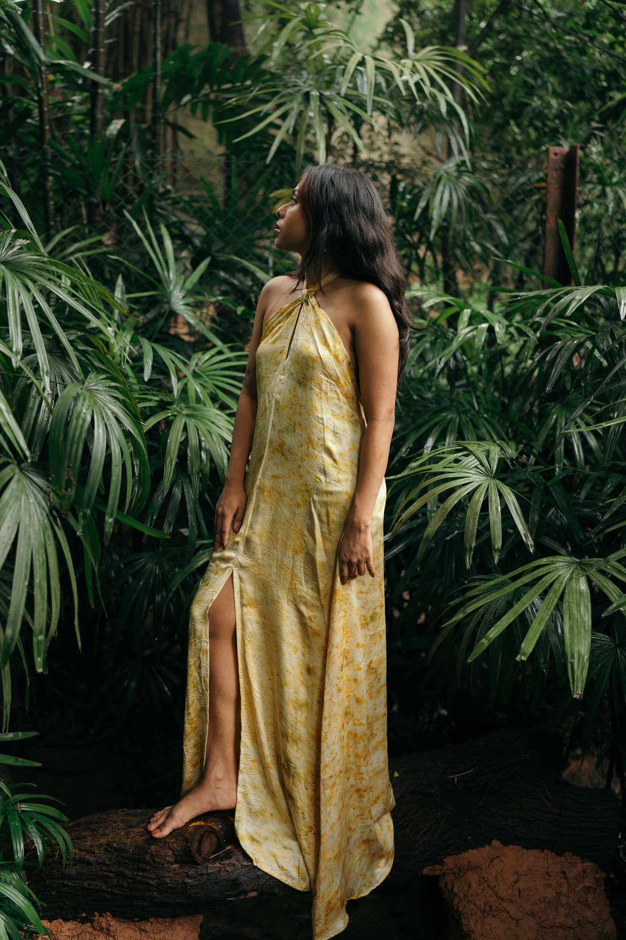Golden Dream Dress
